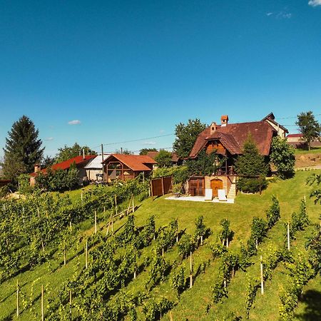 Holiday Home Wine & Relax Sveti Martin Na Muri Gornji Koncovcak 外观 照片