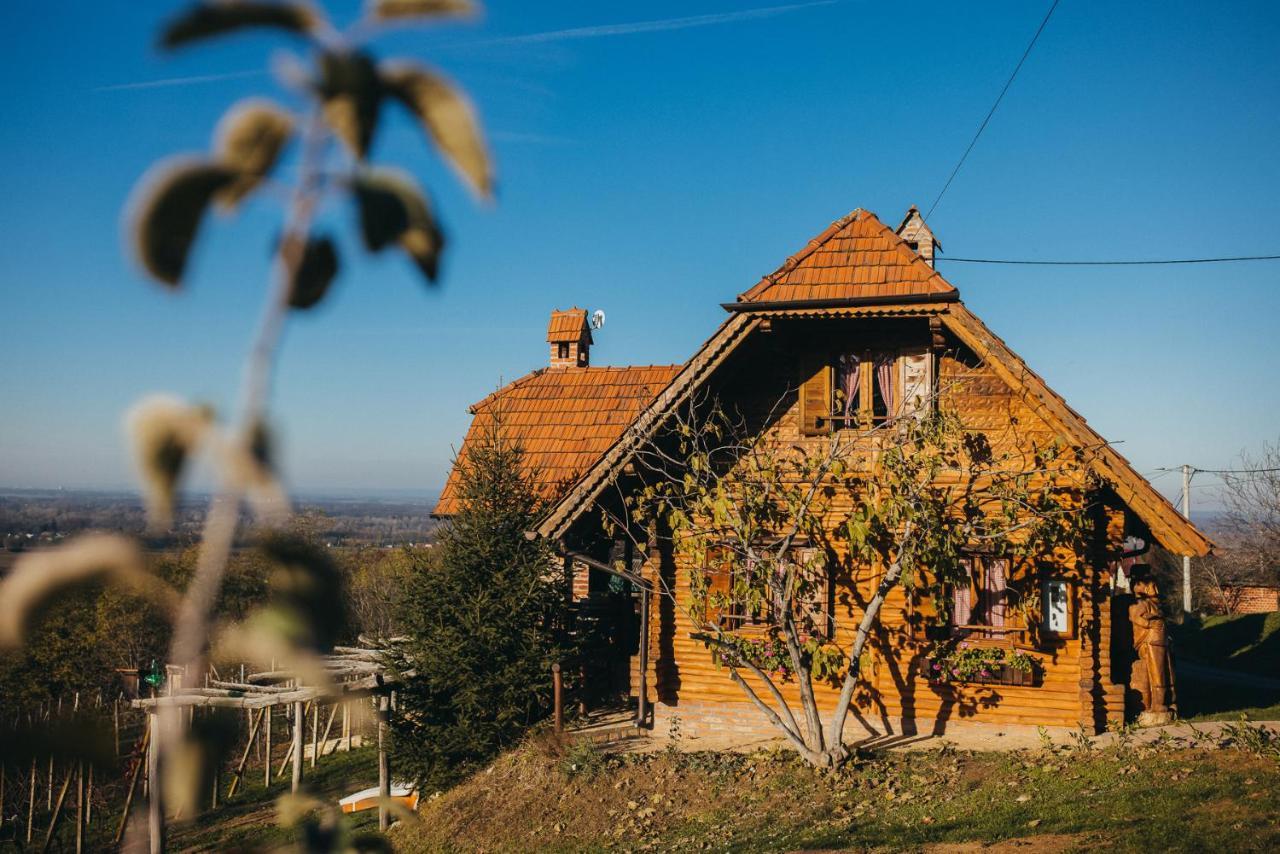 Holiday Home Wine & Relax Sveti Martin Na Muri Gornji Koncovcak 外观 照片