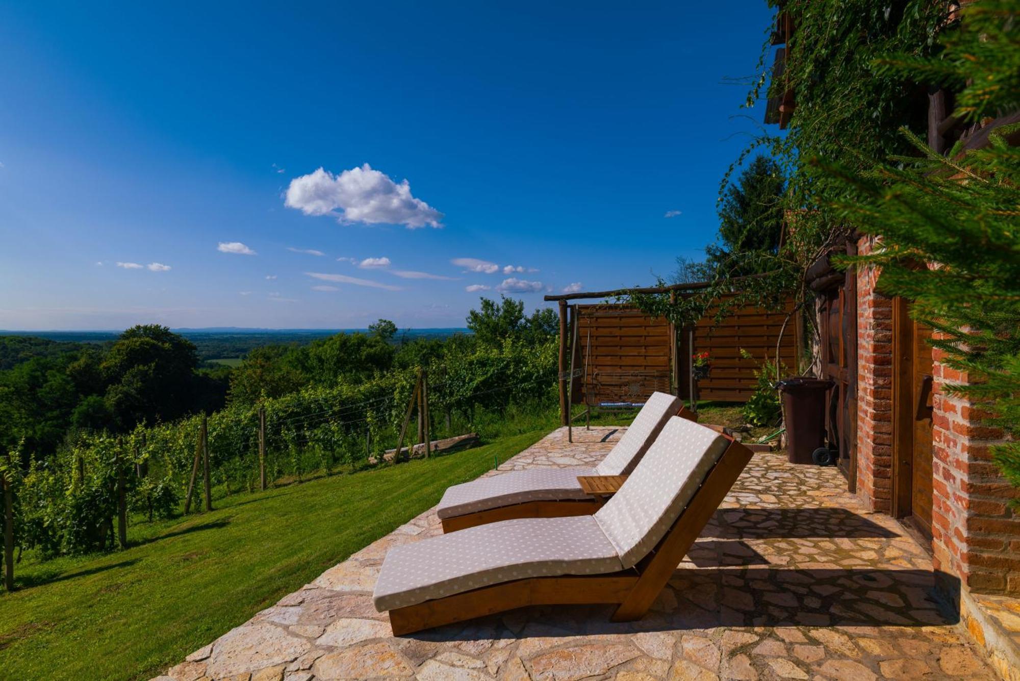 Holiday Home Wine & Relax Sveti Martin Na Muri Gornji Koncovcak 外观 照片