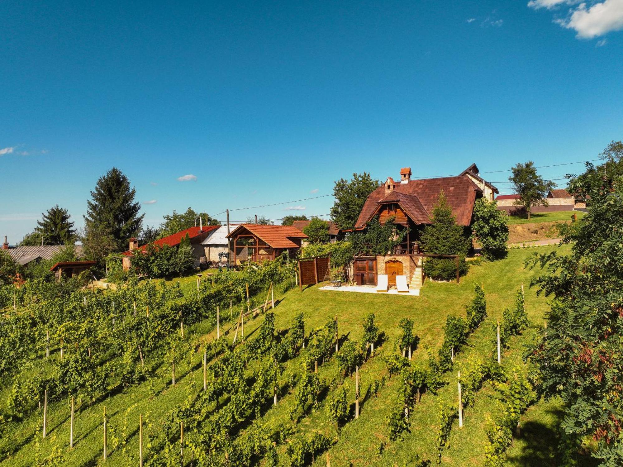 Holiday Home Wine & Relax Sveti Martin Na Muri Gornji Koncovcak 外观 照片