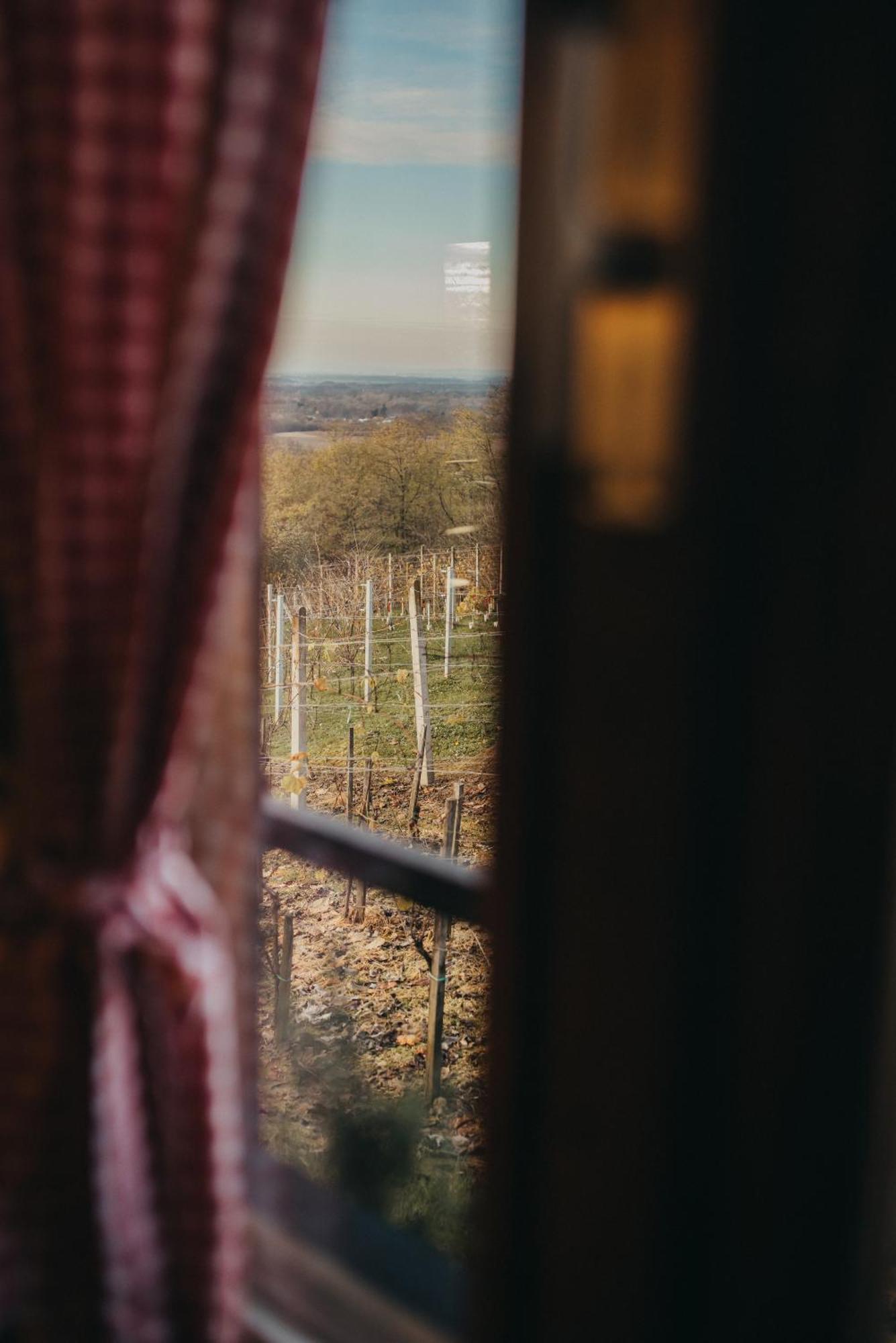 Holiday Home Wine & Relax Sveti Martin Na Muri Gornji Koncovcak 外观 照片